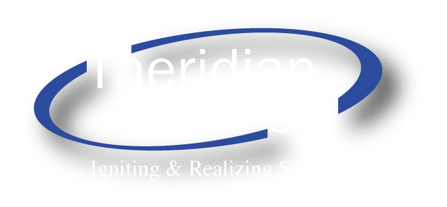 Theridian Technologies, LLC